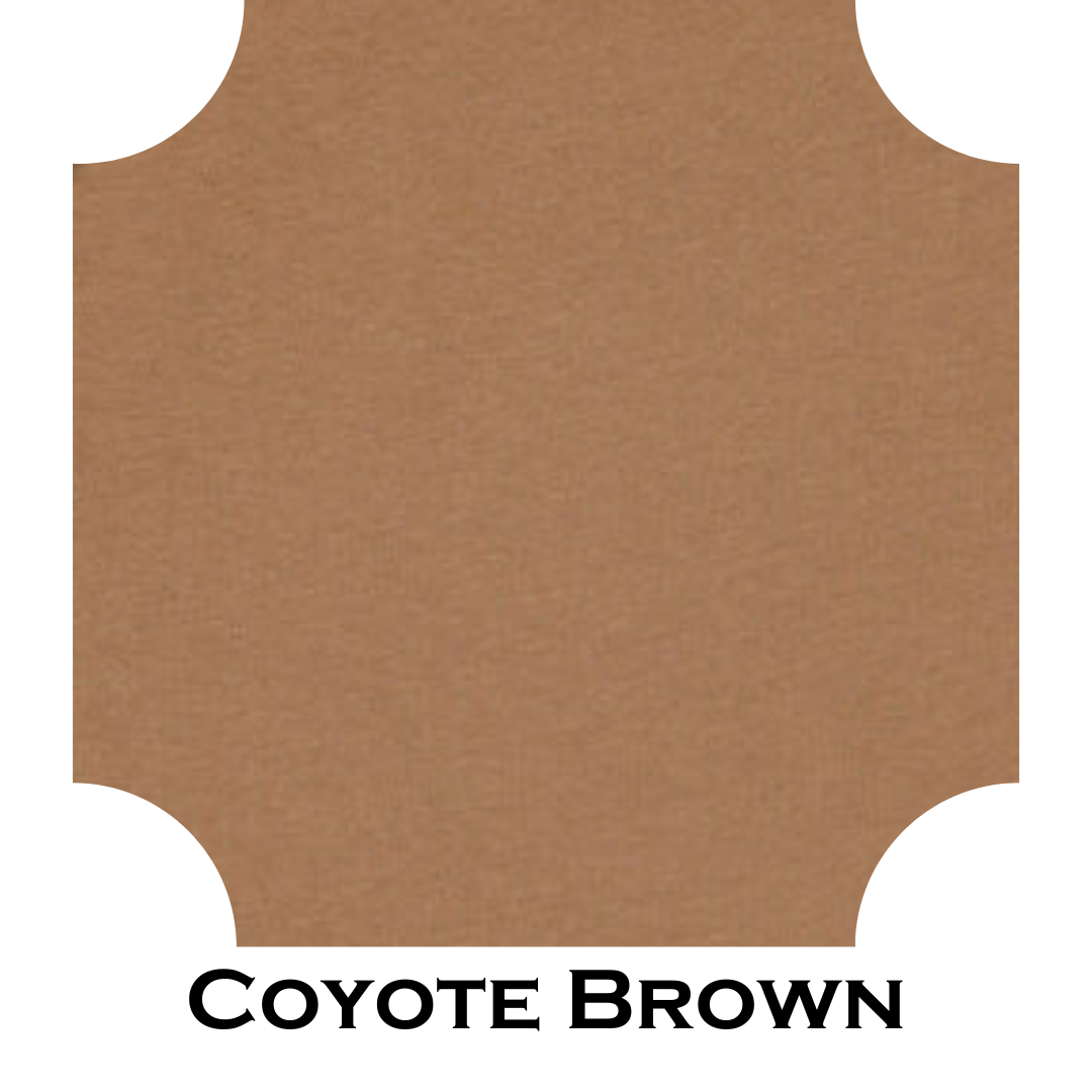 Infant Onesie