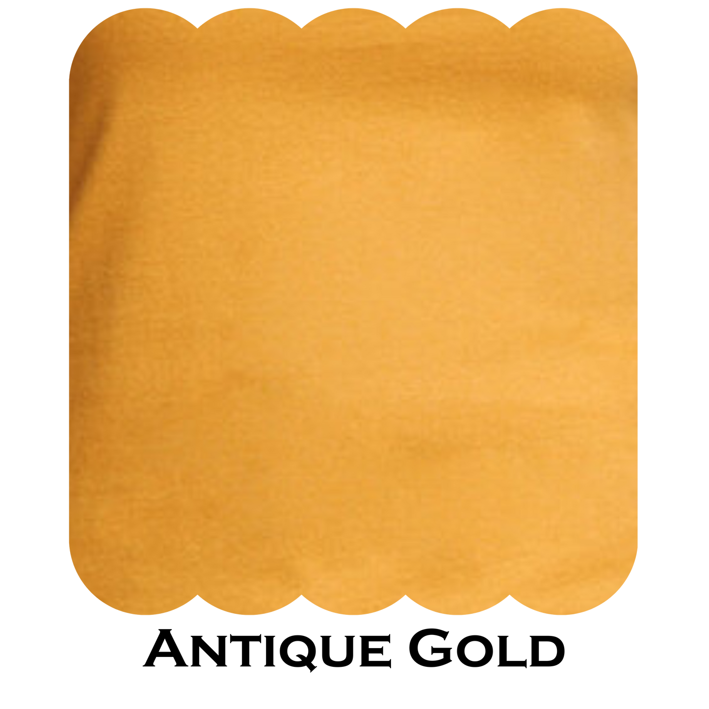 Ladies V- Neck