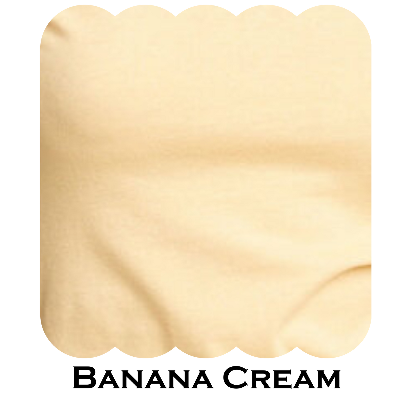 Ladies V- Neck