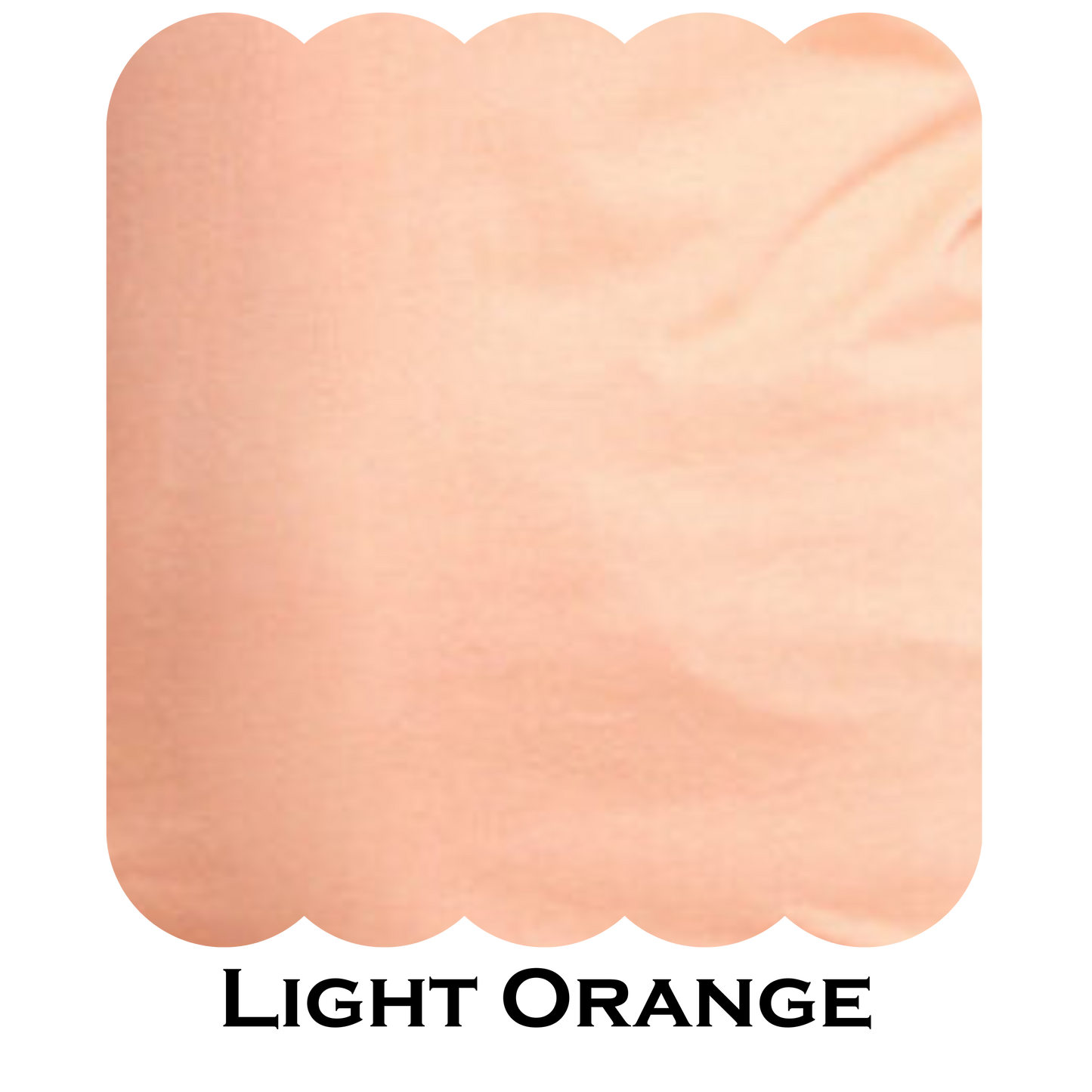 Ladies V- Neck