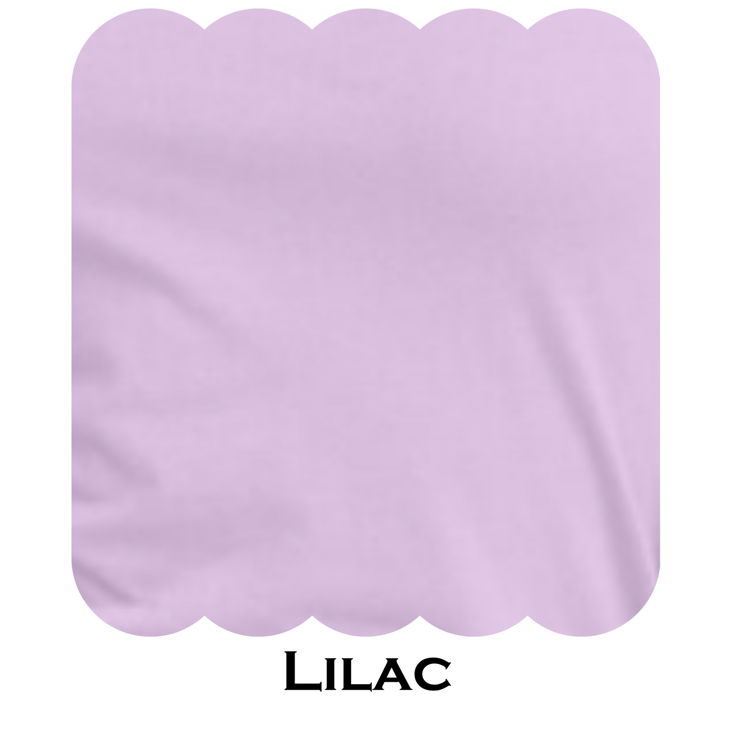 Ladies V- Neck