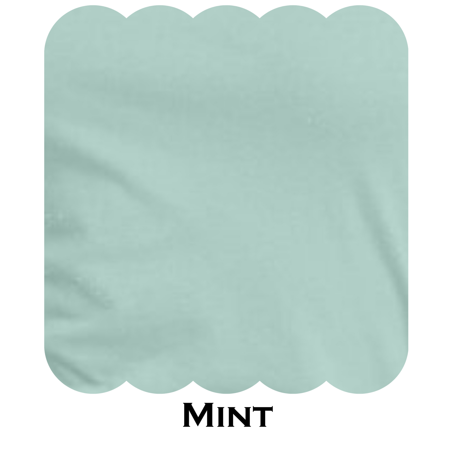Ladies V- Neck