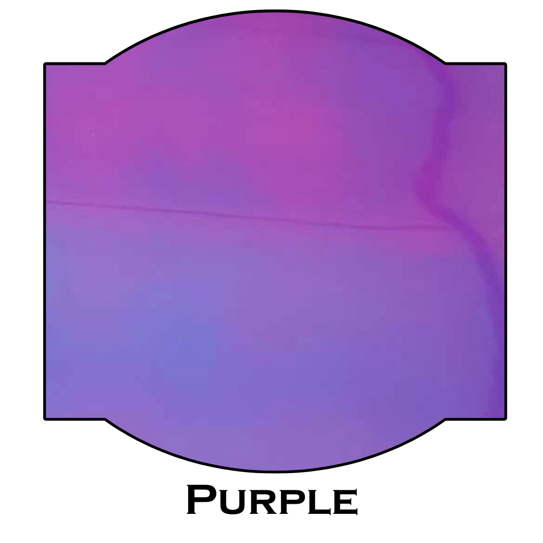 Chameleon HTV