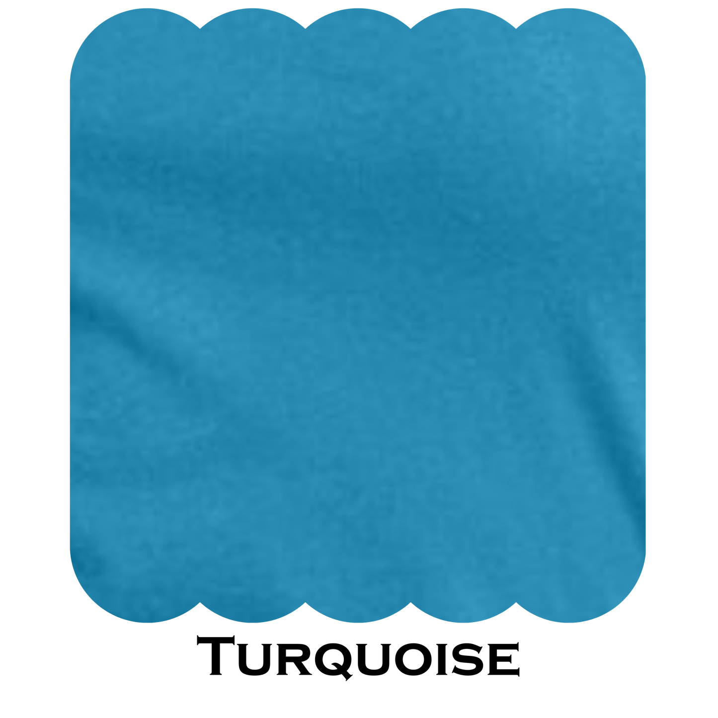 Ladies V- Neck