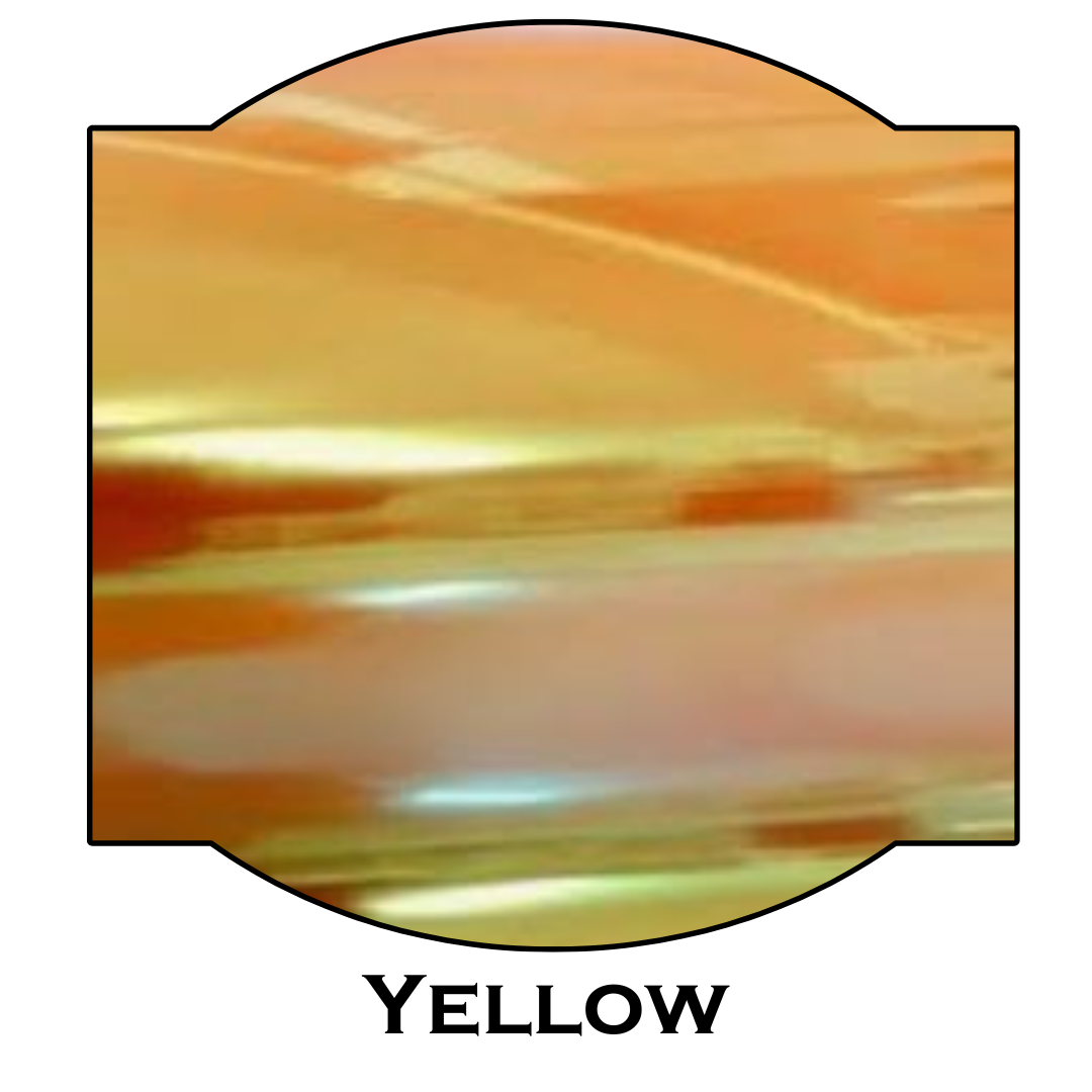 Chameleon HTV